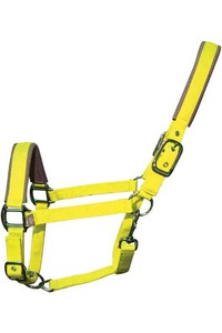 2022 Woof Wear Full Size Contour Head Collar WS0022-YELL-FS - Yellow